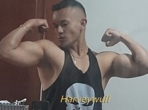 Harveywull