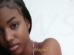 Haya23