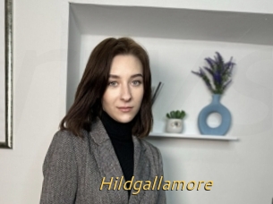 Hildgallamore
