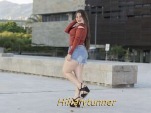 Hillarytunner