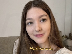 Hollisbarks