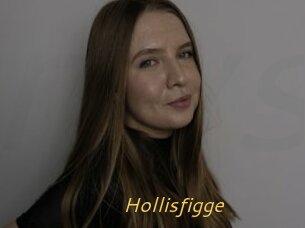 Hollisfigge