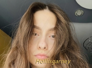 Hollisgarney