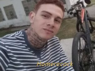 Homerocock