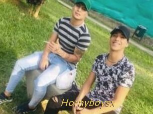 Hornyboysx