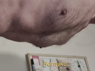 Hornyke