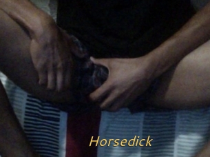 Horsedick