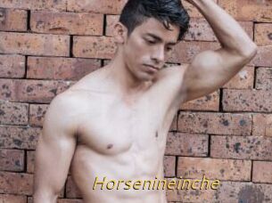 Horsenineinche