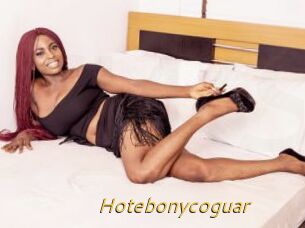 Hotebonycoguar