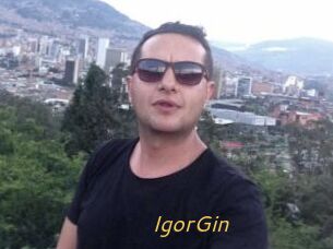 IgorGin