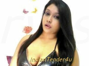 IndianTender4u