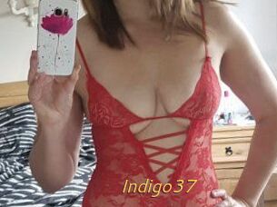 Indigo37