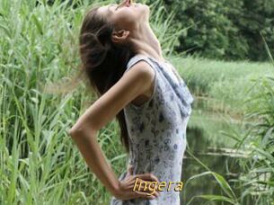 Ingera