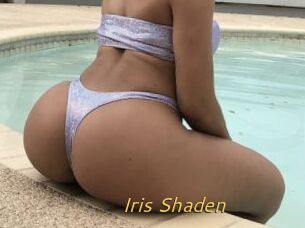 Iris_Shaden