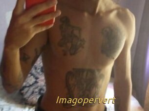 Imagopervert