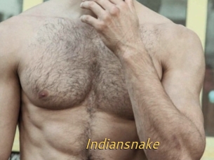 Indiansnake