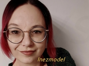 Inezmodel
