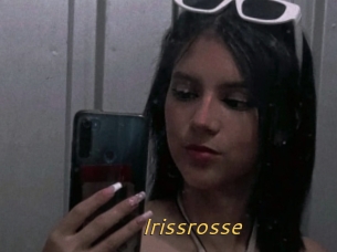Irissrosse
