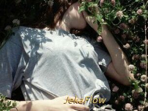 JekaFlow