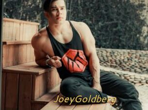 JoeyGoldberg