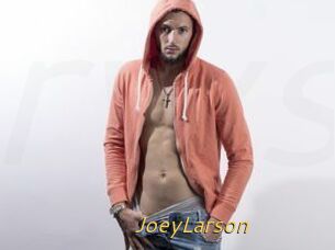 JoeyLarson
