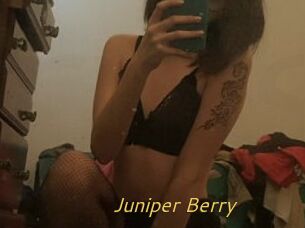 Juniper_Berry