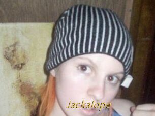 Jackalope