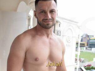 Jakall