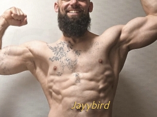 Jayybird