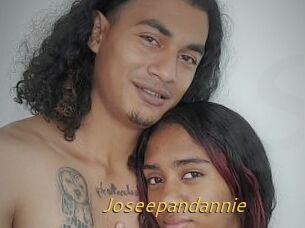 Joseepandannie