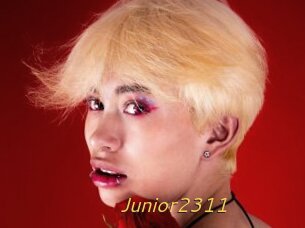 Junior2311