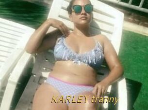 KARLEY_tranny
