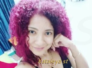 Kataleya_st