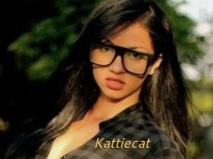 Kattiecat