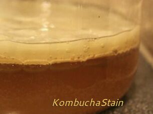 KombuchaStain