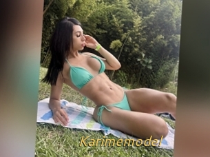 Karimemodel