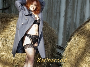 Karinarood