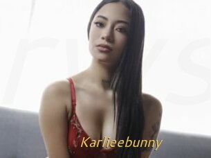 Karlieebunny