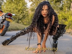 Katevanhelsing