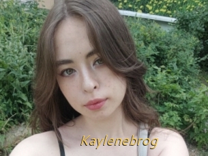Kaylenebrog