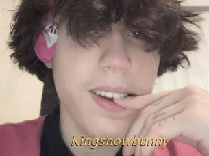 Kingsnowbunny