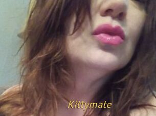 Kittymate