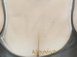 Kittyporch