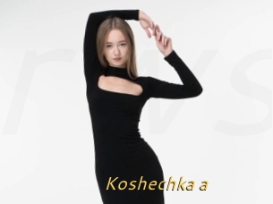 Koshechka_a