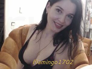Flamingo1702