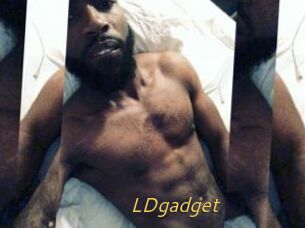 LDgadget