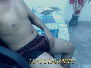 LUIGUISUMERS