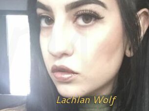 Lachlan_Wolf
