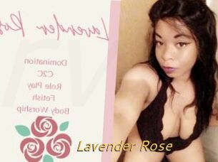 Lavender_Rose