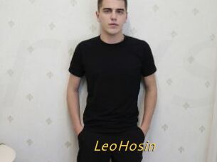 LeoHosin